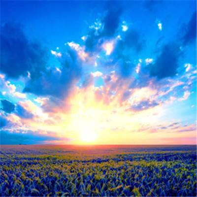 金沙集团9500官网手机app下载